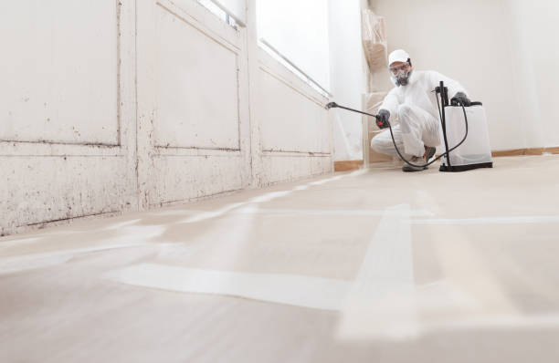 24/7 Emergency Black Mold Removal experts in Goldsboro, NC