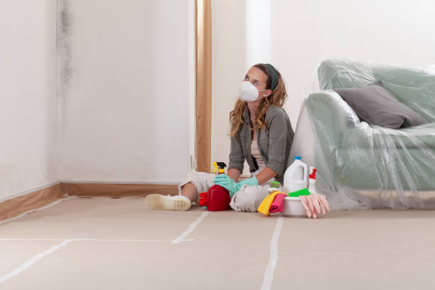 Reliable Mold Remediation contractor in Goldsboro, NC by Cheap Mold Removal